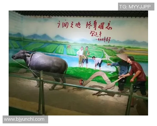 80后足球明星壁画展现青春记忆与激情岁月的艺术之旅 80后足球明星壁画展现青春记忆与激情岁月的艺术之旅