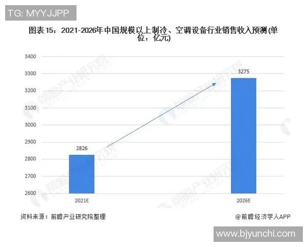 北京篮球队运营策略分析与市场影响深度解读 北京篮球队运营策略分析与市场影响深度解读