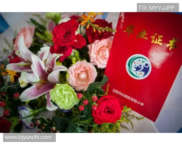 苏子豪足球:从青涩少年到职业球员的成长之路与梦想追逐 苏子豪足球:从青涩少年到职业球员的成长之路与梦想追逐